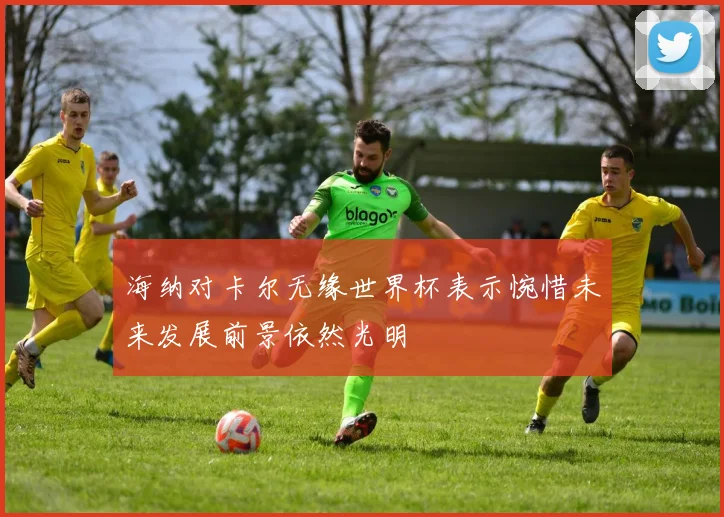 海纳对卡尔无缘世界杯表示惋惜未来发展前景依然光明
